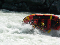 P1060235yah.jpg
