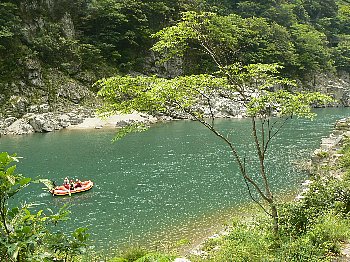 P1100316.jpg