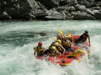 P1230238.jpg