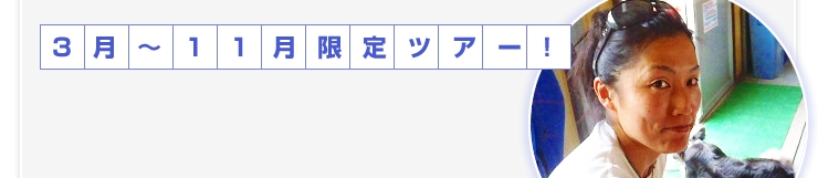 一番人気はこれ!